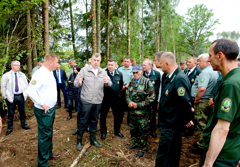 Заместитель премьер-министра Республики Беларусь Юрий Назаров провел рабочую встречу на территории Климовичского лесхоза
