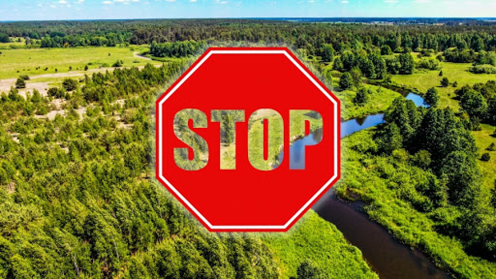 В Климовичском районе введен запрет на посещение лесов