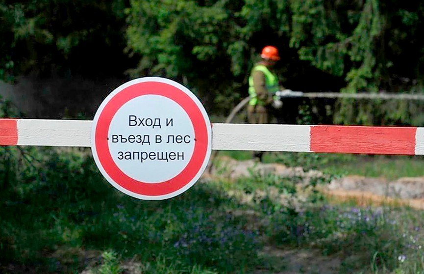 Внимание, введен запрет на посещение лесов.