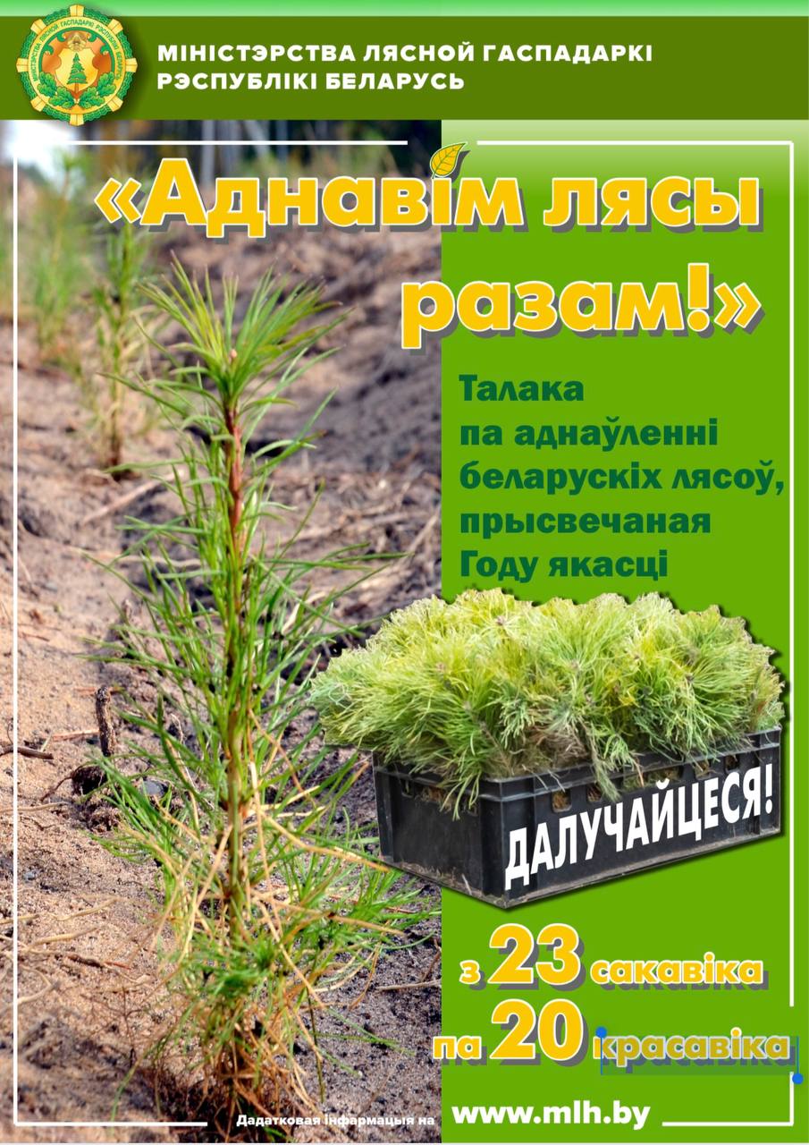 Более 37 миллионов деревьев высадили белорусы за время проведения акции " Аднавім лясы разам!"