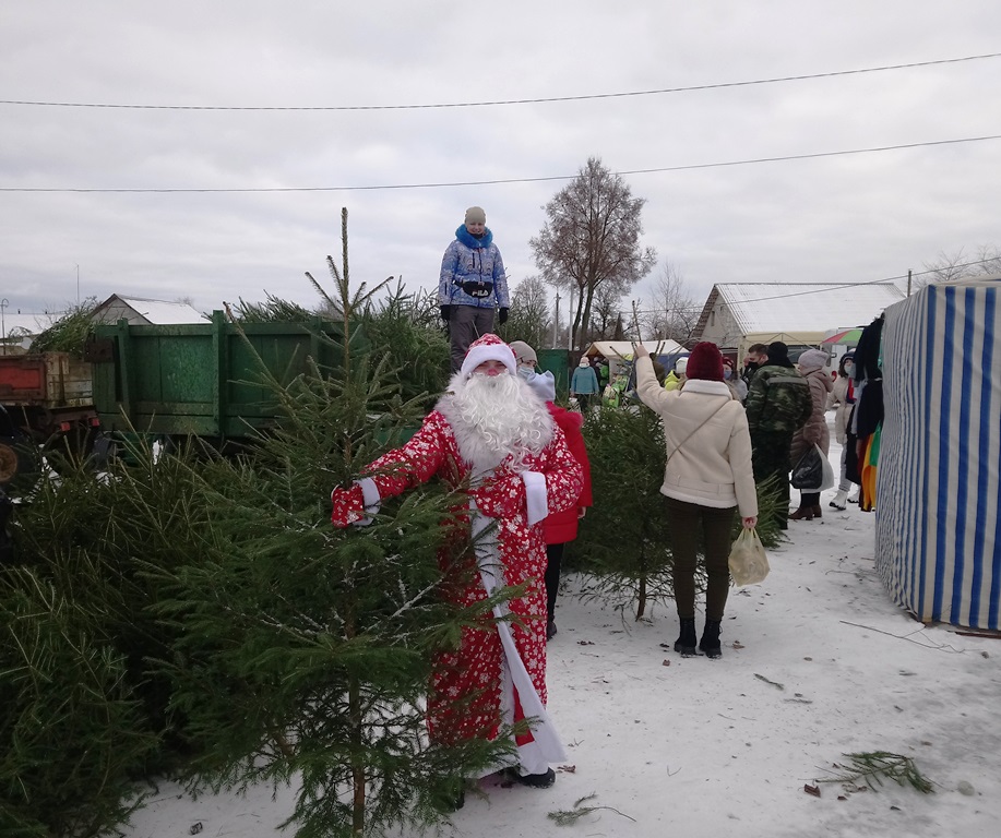 Лесные красавицы в новогодних нарядах.