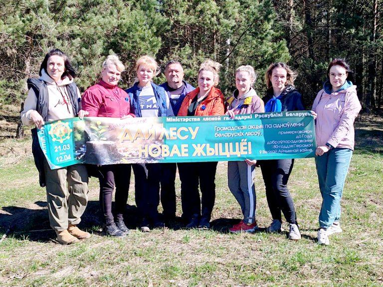 Как климовчане участвуют в акции «Дай лесу новае жыццё!»