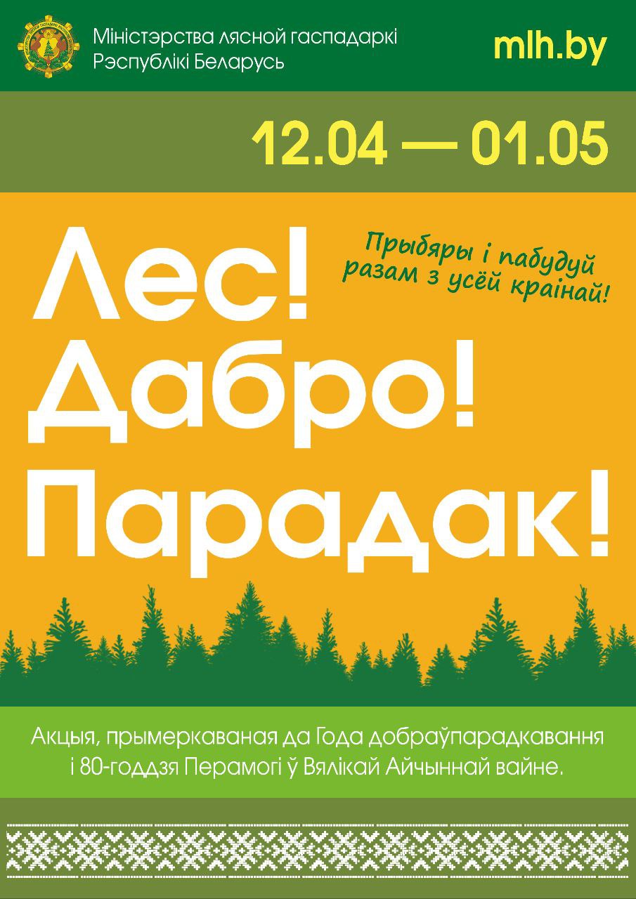 "Лес! Дабро! Парадак!": новая инициатива Минлесхоза объединит белорусов уже в эту субботу