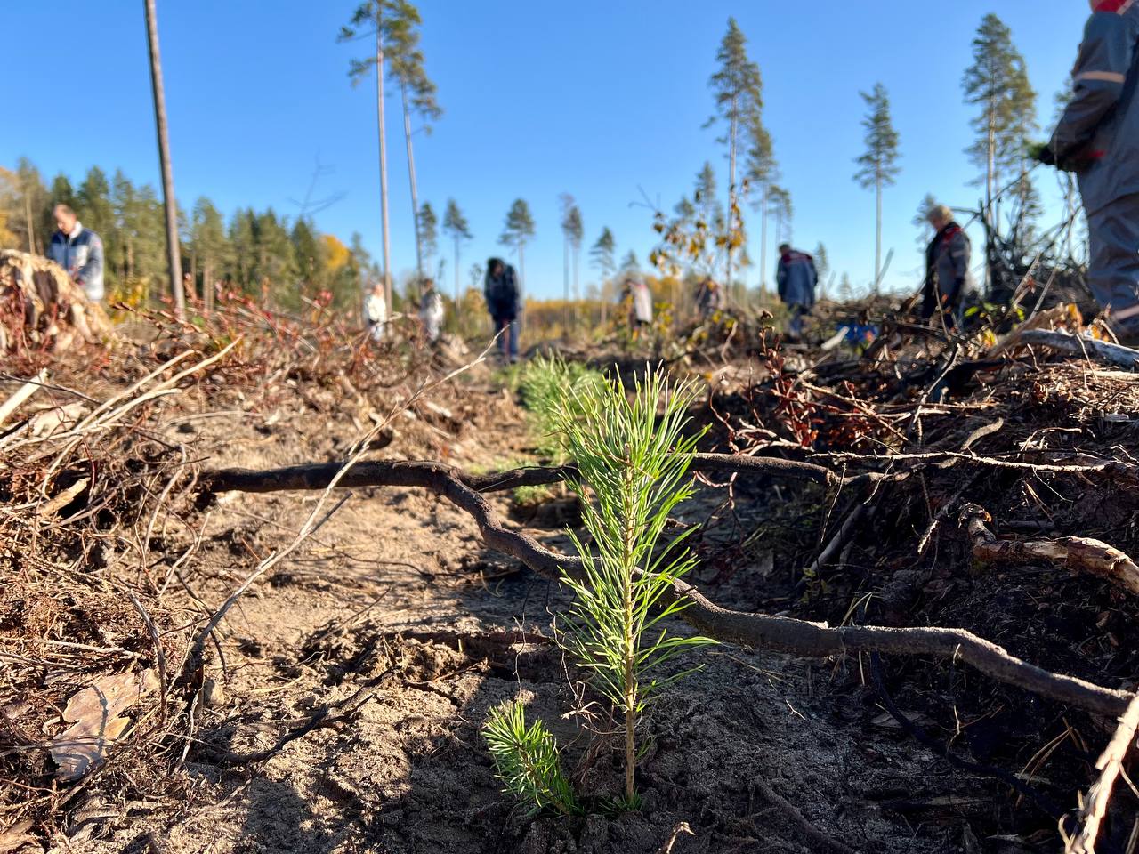 Областной конкурс среди среди учреждений общего среднего образования, участвующих в добровольной общественной акции «Лес!Дабро!Парадак!»