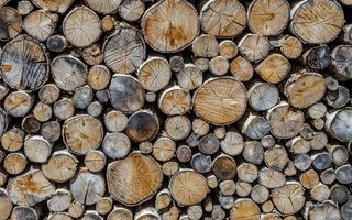 Информация о приобретении дров населением